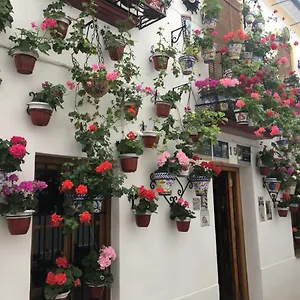 Apartment Buhardilla De Wallada, Cordoba